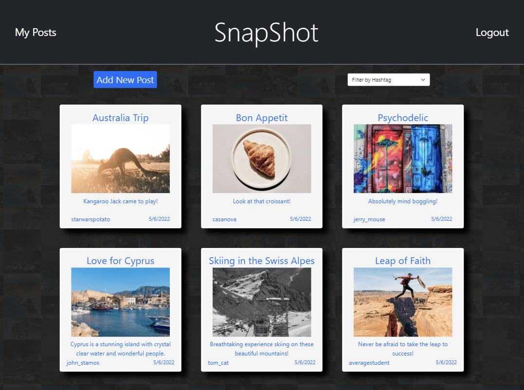 SnapShot